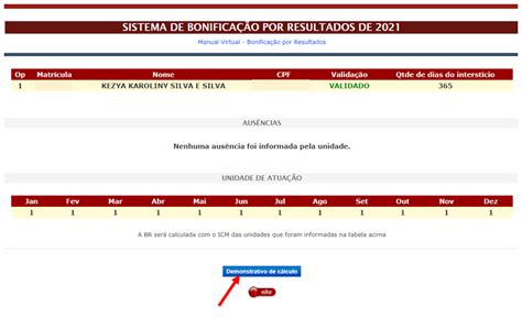 Pagamento da Bonificação: Como Receber Seus Ganhos Rapidamente